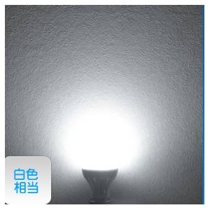 3WLED電球 口金E26型 白色相当30W 【10個セット】