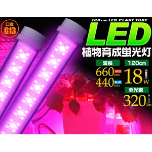 【4本セット】LED植物育成蛍光灯 120cm　