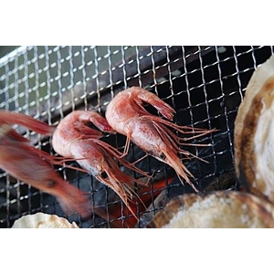 北海道BBQ大満足セット+北海甘エビ0.5kg付き(4人前~6人前)