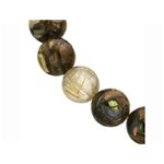 アワビルチルブレス