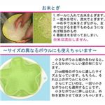 fBAfځIƐ؂肴 C 摜3