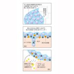 �X�^�C���b�N �N�����W���O�L���[�u �摜2