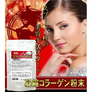 栄養補助食品 凝縮コラーゲン粉末 90g 【3袋セット】