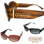 COACH�i�R�[�`�j �T���O���X S729A-AMBER HORN�E�u���E���O���f�[�V�����~���C�g�}�[�u���u���E�� �摜4
