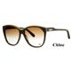 Chloe(クロエ) サングラス CL2181A-C02:ブラウングラデーション×ブラウン - 縮小画像1