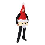 クリスマスコスプレ ビックサンタ