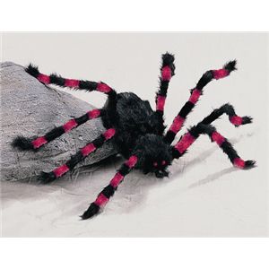 【2012ハロウィン】 Red／Black Spider-M（赤/黒の蜘蛛　M） 0762543051115