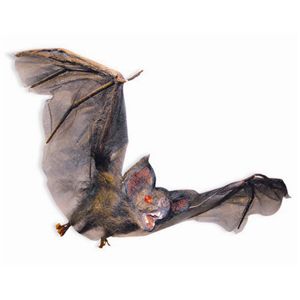【2012ハロウィン】 Hairy Flying Vampire Bat-Small（リアルなコウモリ） 0762543052808
