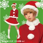 【クリスマスコスプレ】ベイシックサンタ レッド 2Lサイズ