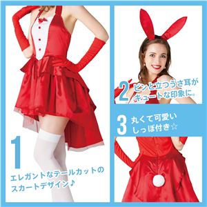 コスプレ衣装/コスチューム 【シャンパンバニー型 レッド】 レディース155cm~165cm ポリエステル 『New York Wish』 コスプレ衣装/コスチューム 【シャンパンバニー型 レッド】 レディース155cm~165cm ポリエステル 『New York Wish』