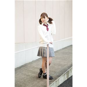 制服/コスプレ衣装 【ネクタイ エンジ×ベージュ×紋章】 ポリエステル 『TeensEver』 〔イベント パーティー〕 制服/コスプレ衣装 【ネクタイ エンジ×ベージュ×紋章】 ポリエステル 『TeensEver』 〔イベント パーティー〕