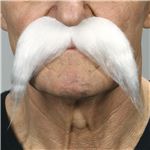 コスプレ衣装／コスチューム Mustaches 030-ME 口ひげ