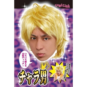 【コスプレ】 THE カツラ チャラ男 4560320833932