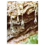 �}�X�e�B�b�N�V�����v�[�@2�{�Z�b�g �摜3