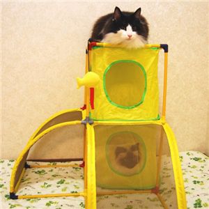 スポーツペット・猫(キャット)タワー キャットランド (キティ)クラブハウス/黄