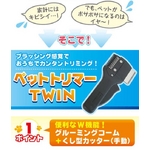 ybgg}[TWIN
