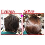 �ϥ�ǥ��ȥ��롼 �֥롼