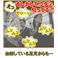 ロージェ　クリアスプレー85ｍｌ×3本セット画像2