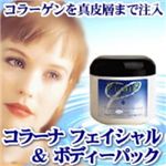 ���顼�ʥե����������ܥǥ��ѥå�500�� ������