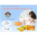 ���륫���ѥѥ��������륽����90g��3�ĥ��åȡ�