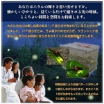 ホッとするホタル 竹カゴ 大
