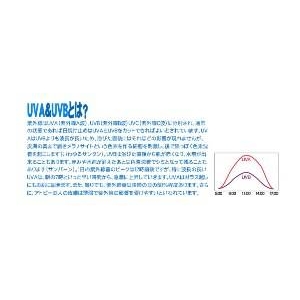 BRTC BBサンプロテクト46