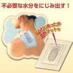 いきいき樹液シート専用温熱マット付き12P 2個セット