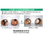 rǗp 肢قƂ y3{Zbgz(pECpEgCp250e1{) 摜5