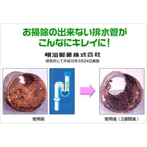 排水口ぬめり取り【お願いだから5日間待って！】３箱セット(１箱20ｇ×2個入り）