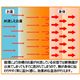 ゲルマニウム温浴器　ルルドの女神 - 縮小画像5