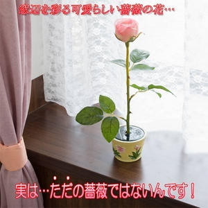 LEDソーラーライト「イルミネーションローズ」