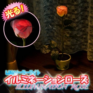 LEDソーラーライト「イルミネーションローズ」