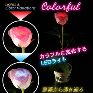 LEDソーラーライト「イルミネーションローズ」