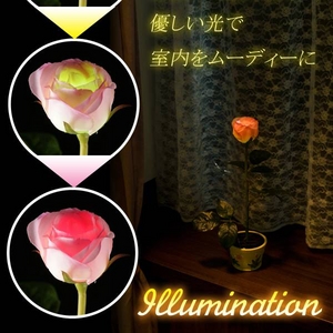 LEDソーラーライト「イルミネーションローズ」