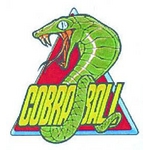 U.Sデルタブーツ COBRA BALL 44（28cm）