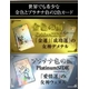 �ɥ꡼��饤���󥹥����� �̿�3