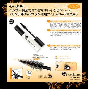 訳あり在庫処分品 数量限定アイレボリューション【３種×２セット】