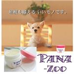 y󂠂zpEPAN[y2Zbgz