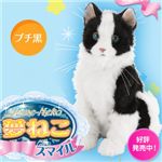 �����ȥ��� ��̴�ͤ����ޥ��롡�֥���