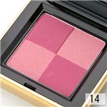 YSL �Хꥨ������� �֥�å��� 14