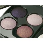 CHANEL �쥭��ȥ� ����֥� 08��VANITES