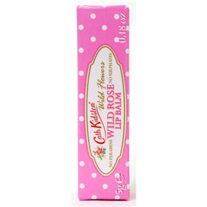 CATH KIDSTONʥ㥹åɥ åץ꡼ 磻ɥWR 5g2ܥåȡ۲2