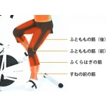 写真4
