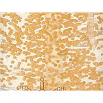 �G�b�Z���XQ10 �摜2