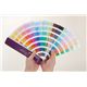 PANTONE ソリッド・イン・ヘキサクロームガイド - 縮小画像3