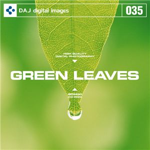 ʐ^f DAJ035 GREEN LEAVES ytbVȐV΃C[Wz