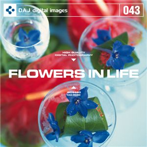 ʐ^f DAJ043 FLOWERS IN LIFE yԂ̂鐶z