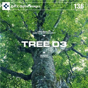 ʐ^f DAJ136 TREE 03 yؕSI 03z