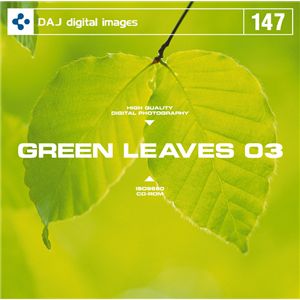ʐ^f DAJ147 GREEN LEAVES 03 ytbVȐV΃C[W 03z