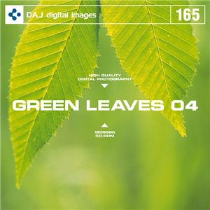 ʐ^f DAJ165 GREEN LEAVES 04 ytbVȐV΃C[W 04z